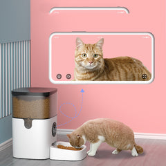 Intelligent automatic feeder