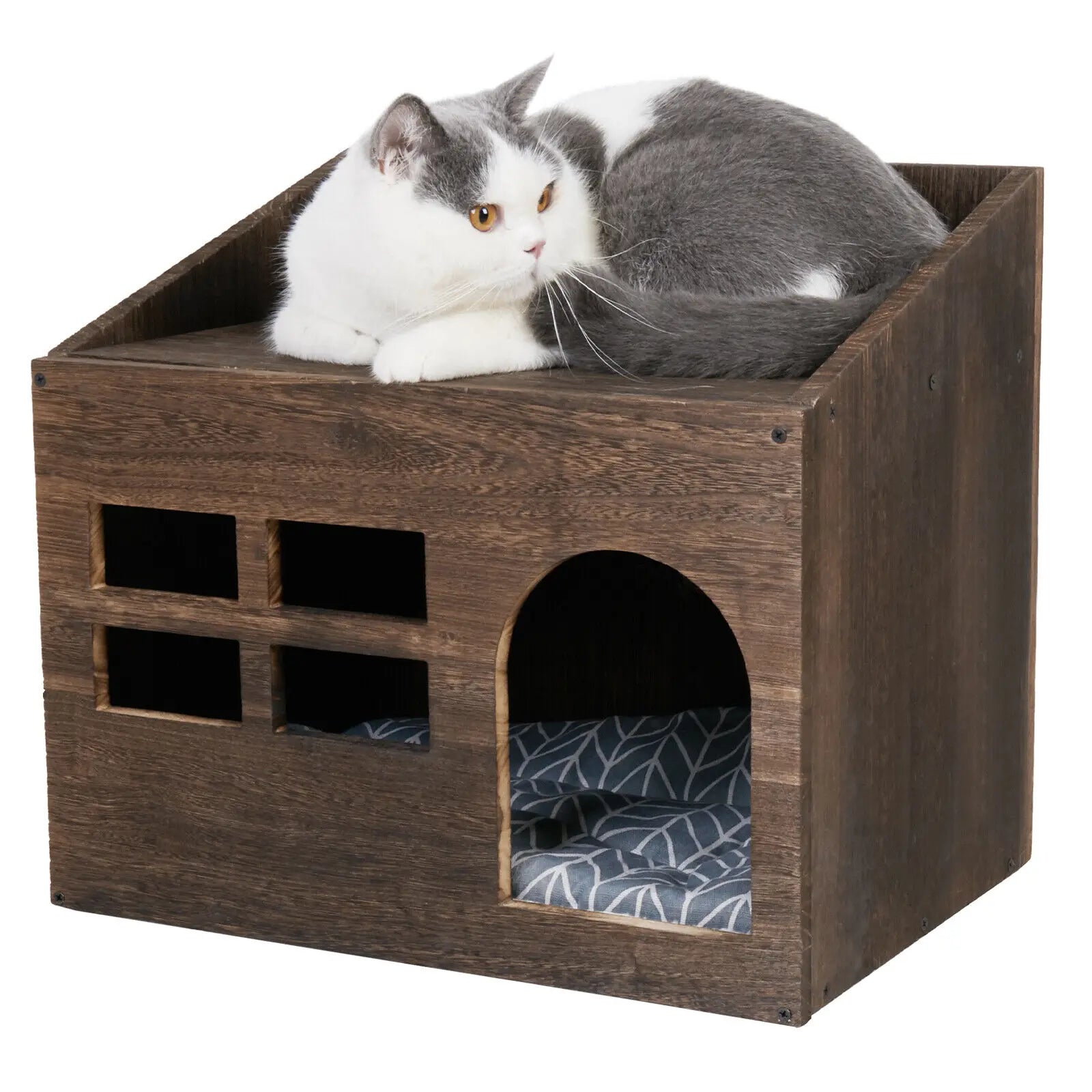 indoor cat bed cave house fun solid wooden cat litter box fo