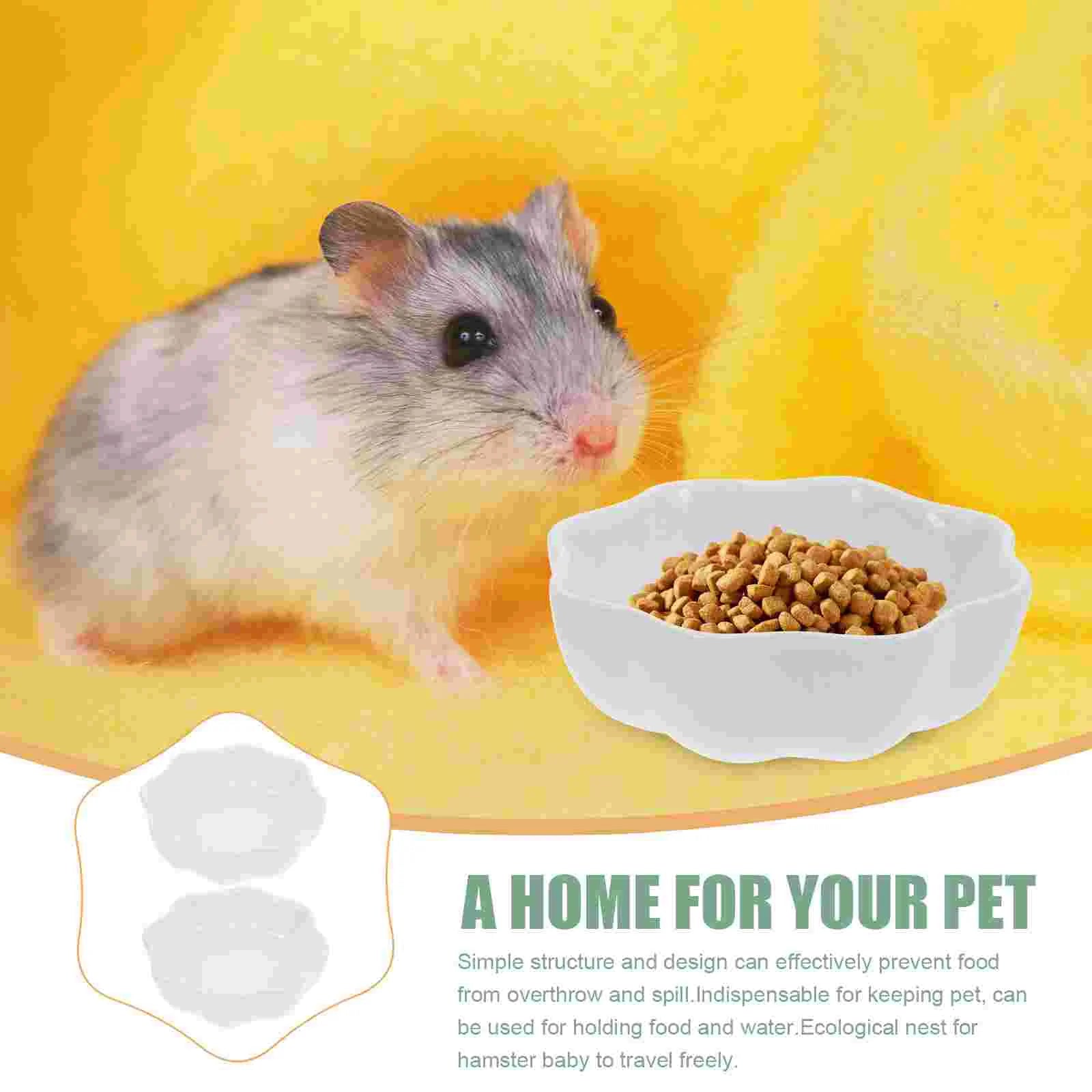 2 Pcs Hamster Ceramic Bowl Pet - Household Chinchilla Hay Accessory Feeder Supply Ceramics Wear-resistant Food