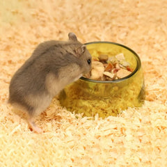 Bite Resistant Hamster Food Basin Non-slip Transparent Hamster Water Bowl Plastic Pet Feeding Bowl For Rats Hamster Guinea Pig