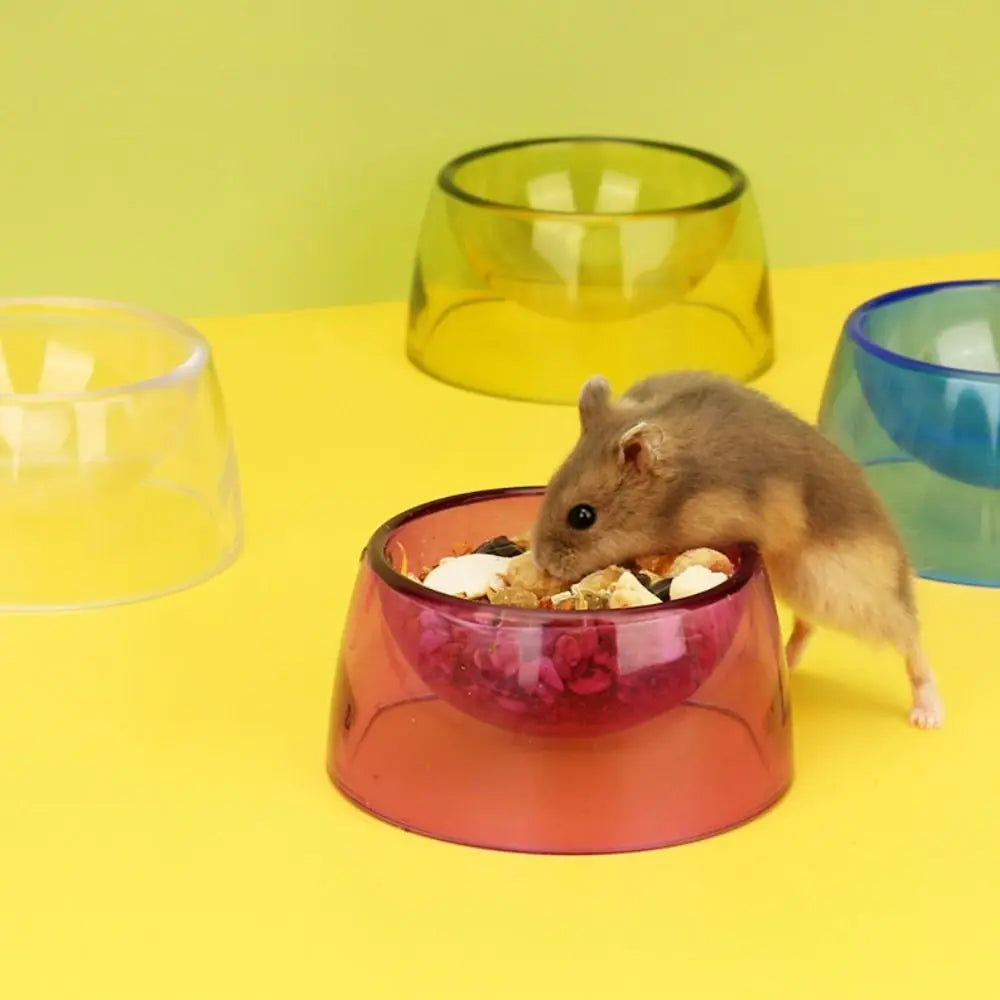 Bite Resistant Hamster Food Basin Non-slip Transparent Hamster Water Bowl Plastic Pet Feeding Bowl For Rats Hamster Guinea Pig