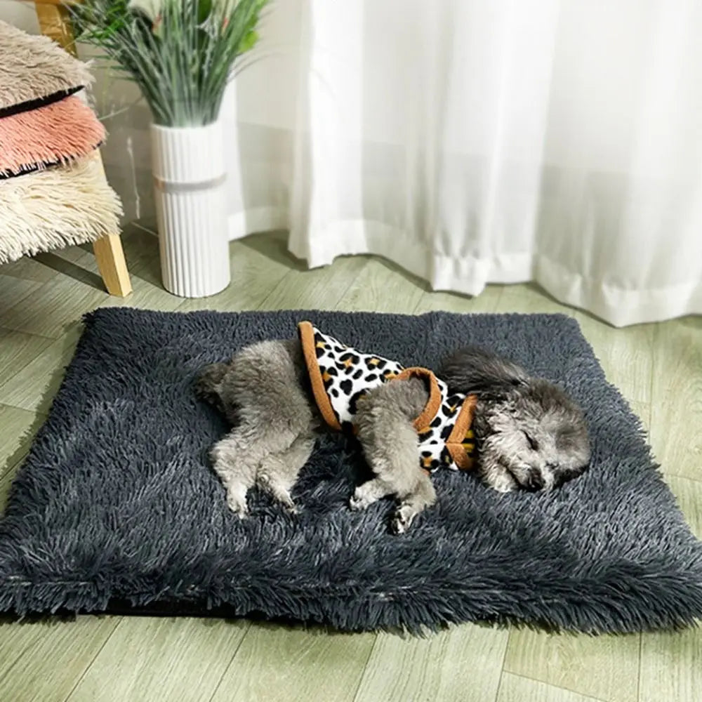 -slip waterproof warm cat blanket comfortable velvet puppy sleep mat winter