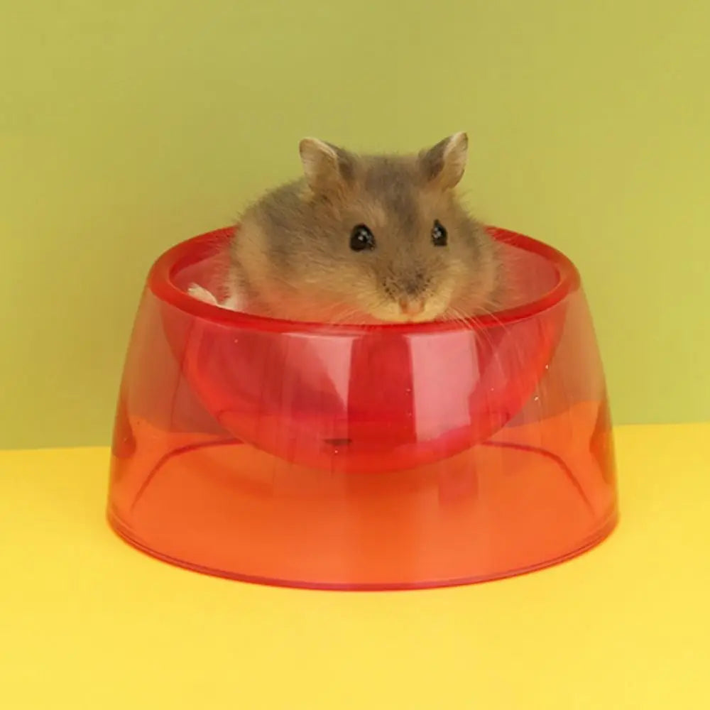 Bite Resistant Hamster Food Basin Non-slip Transparent Hamster Water Bowl Plastic Pet Feeding Bowl For Rats Hamster Guinea Pig