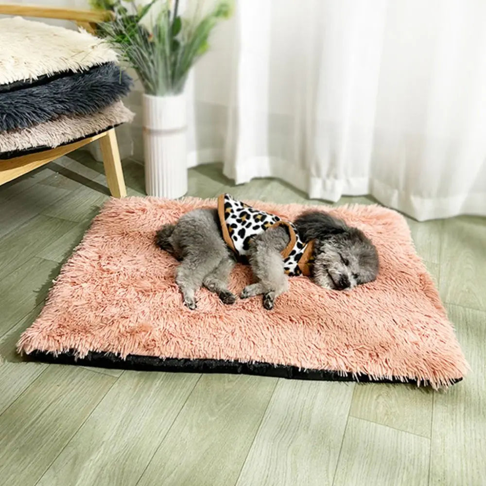 -slip waterproof warm cat blanket comfortable velvet puppy sleep mat winter