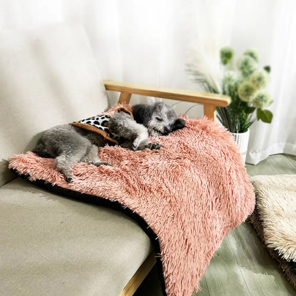 -slip waterproof warm cat blanket comfortable velvet puppy sleep mat winter