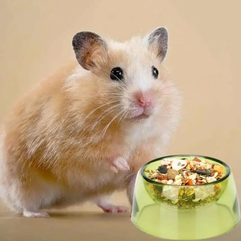 Bite Resistant Hamster Food Basin Non-slip Transparent Hamster Water Bowl Plastic Pet Feeding Bowl For Rats Hamster Guinea Pig