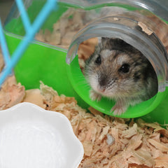 2 Pcs Hamster Ceramic Bowl Pet - Household Chinchilla Hay Accessory Feeder Supply Ceramics Wear-resistant Food